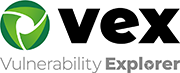 Web アプリケーション脆弱性診断 : Vex (Vex Vulnerability)