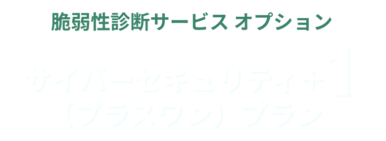 脆弱性診断サービス オプション サイバーセキュリティ＋１（プラスワン）プラン