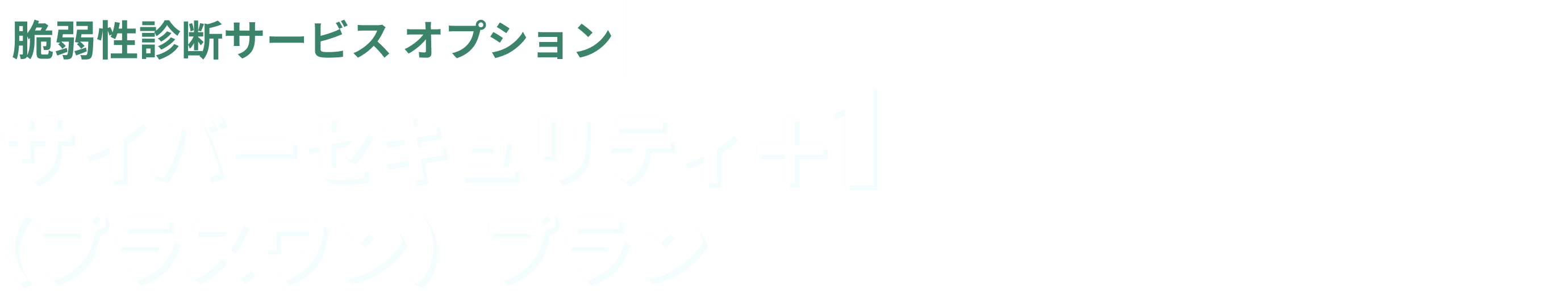 脆弱性診断サービス オプション サイバーセキュリティ＋１（プラスワン）プラン